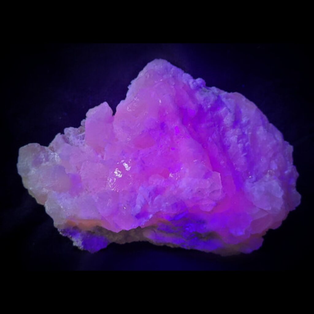 D Gems Auction